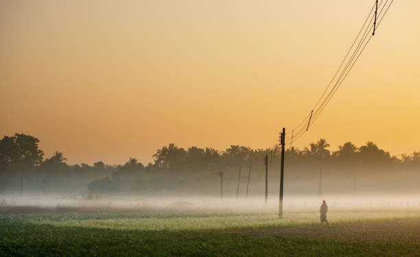 Cold wave grips Odisha as mercury continues to plummet